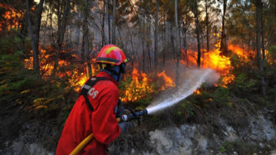 Suíça: Fogos na floresta interditos em Valais