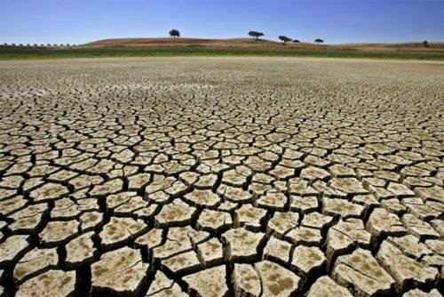 Dia Mundial de Luta contra a Desertificação e a Seca: Não deixe o nosso futuro secar