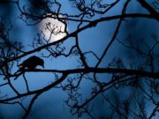 Eclipse parcial da Lua vai ser hoje visível em Portugal