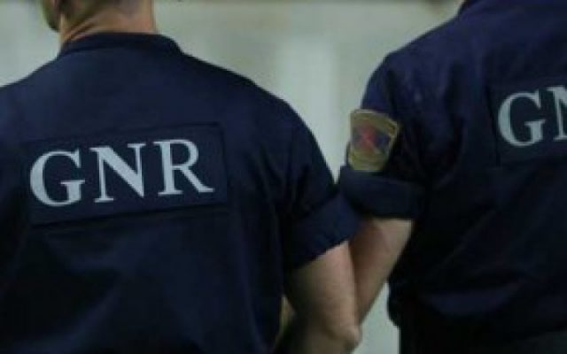 gnr-net-280x230-800x500_c