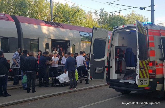 32214696_188975725249277_5448735922776440832_n