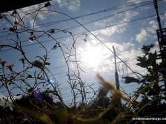 Luxemburgo: Sol no último dia antes de chegar o outono!