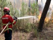 Incêndios: Fogo em Nisa mobiliza mais de 160 operacionais e vários aviões
