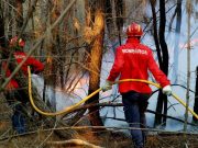 Incêndios: Proteção Civil alerta para agravamento de risco até sexta-feira