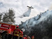 Forças Armadas enviam máquinas de rasto para Miranda do Corvo