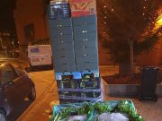 Wiltz: Grelos e couves “acabadinhos” de chegar de Portugal na Bon Appétit