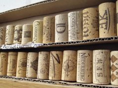 Corticeira Amorim assinala 150 anos com nova logomarca a pensar no futuro