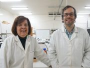 Utilizar os resíduos da madeira do eucalipto para o tratamento de águas residuais