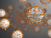 Esch/Alzette/Covid-19: Testes de despistagem produzidos no Grão-Ducado levam 3 horas para saber o resultado!