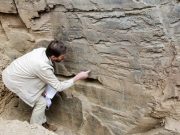 Retomadas escavações no sítio do Fariseu no Parque Arqueológico do Vale do Côa