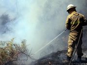 Cinco militares da GNR sofrem queimaduras a combater incêndio em Cabeceiras de Basto