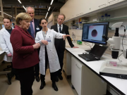 Portugueses na Alemanha elogiam “cientista” Merkel na promoção da igualdade de género