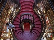 Livraria Lello leva a leilão coleção assinada de primeiras edições de Harry Potter