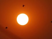 Satélites Copérnico mediram verão de 2021 como mais quente de sempre em ano de contrastes