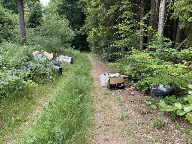 descarga lixo floresta roodt