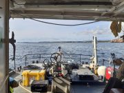 Estudo alerta para os impactos da poluição antrópica na plataforma continental do Algarve