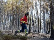 Fogo no concelho de Figueiró dos Vinhos em resolução