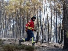 Fogo no concelho de Figueiró dos Vinhos em resolução